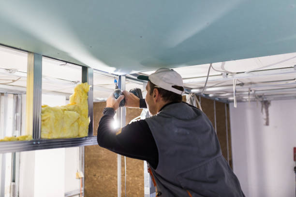 Best Energy Efficiency Insulation in Hamburg, PA