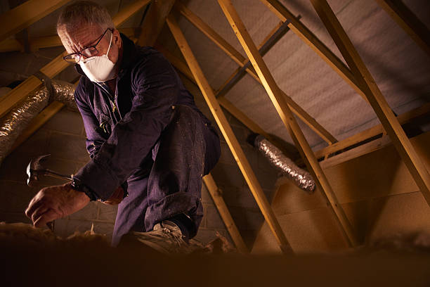 Types of Insulation We Offer in Hamburg, PA